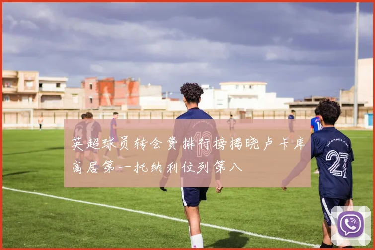 英超球员转会费排行榜揭晓卢卡库高居第一托纳利位列第八