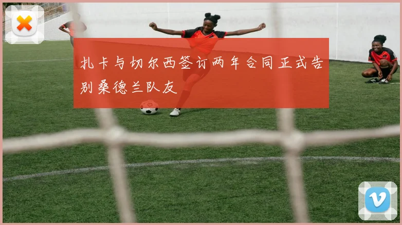扎卡与切尔西签订两年合同正式告别桑德兰队友